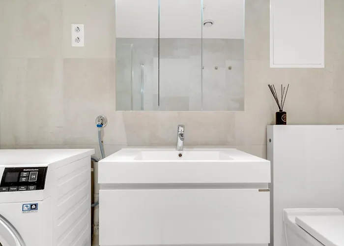 The Polar Rose - Comfort In Tromsø