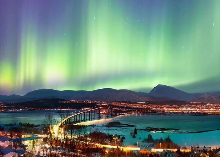 The Polar Rose - Comfort In Lägenhet Tromsø